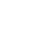 icon vertis white